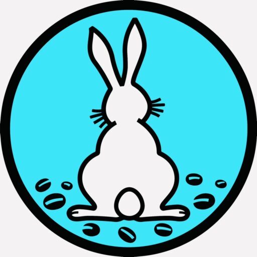 cropped cropped 602867634384143019 1.jpg